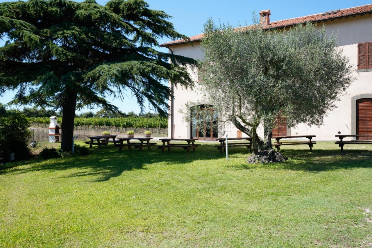 Agriturismo Vigna Sul Lago Montefiascone Extérieur photo